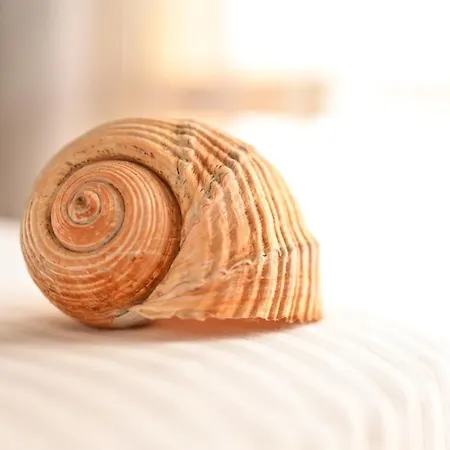 Coastal Retreat - Apartamento