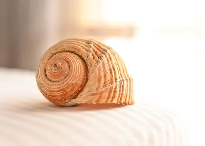 Coastal Retreat - Appartement